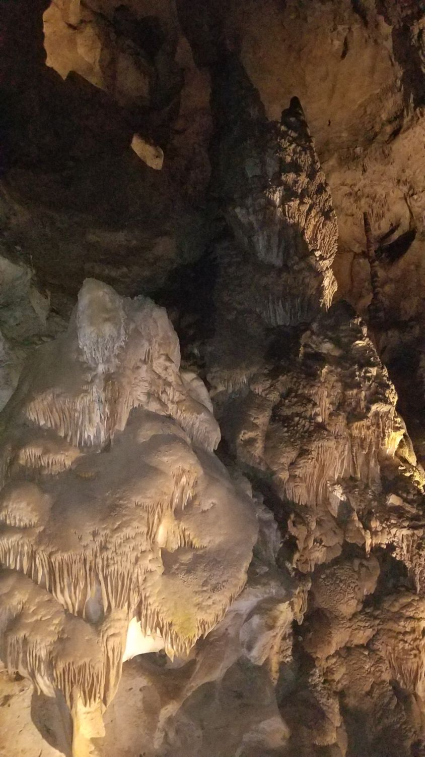 Carlsbad Caverns 